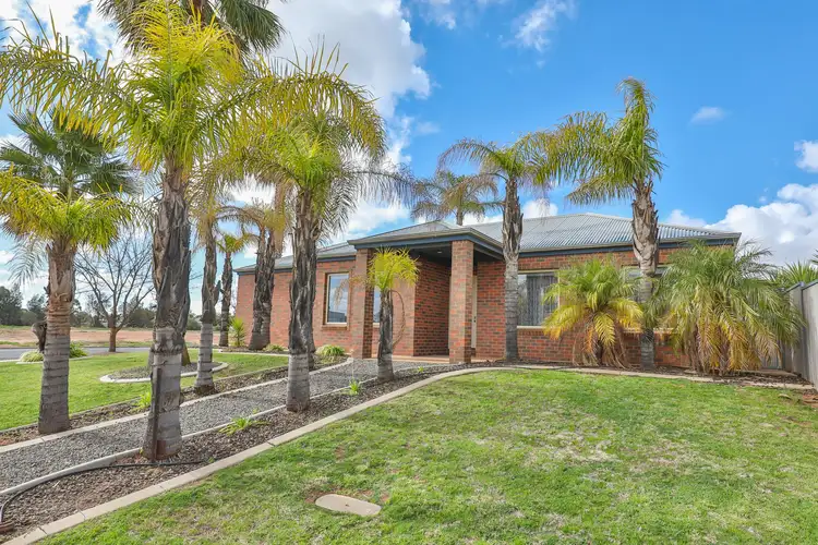 11 Hoyts Drive, Mildura VIC 3500