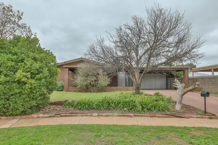7 Chancellor Court, Red Cliffs VIC 3496