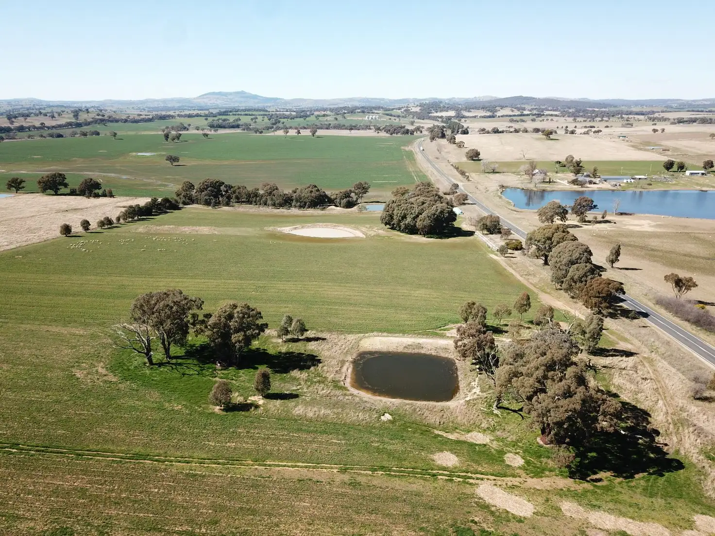 Main view of Homely rural property listing, 7048 Mid Western Highway, Lyndhurst NSW 2797