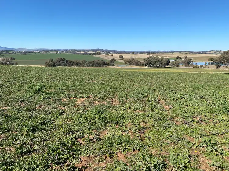 Third view of Homely rural property listing, 7048 Mid Western Highway, Lyndhurst NSW 2797