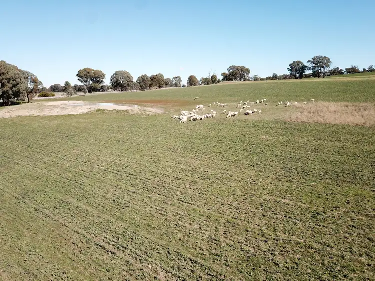 Fifth view of Homely rural property listing, 7048 Mid Western Highway, Lyndhurst NSW 2797