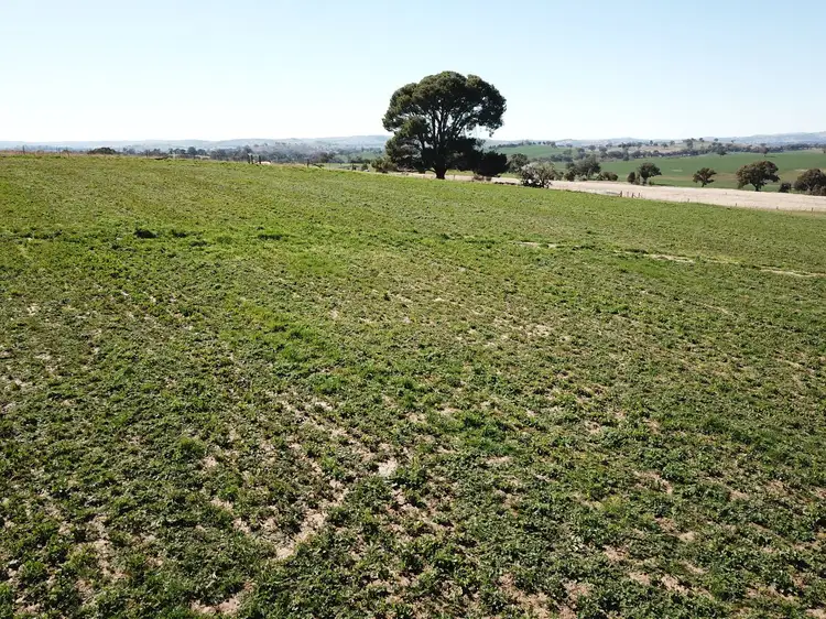 Sixth view of Homely rural property listing, 7048 Mid Western Highway, Lyndhurst NSW 2797