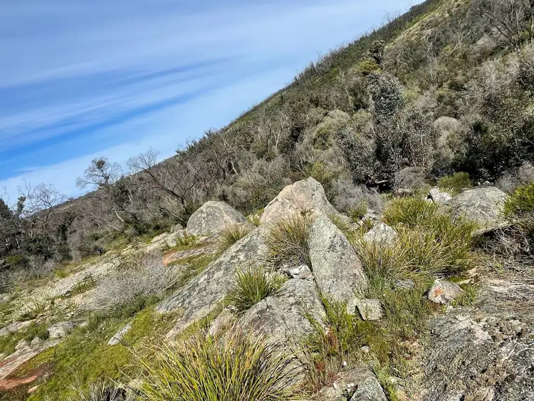 Fourth view of Homely rural property listing, Lot 300 Palmdale Road, Palmdale WA 6328