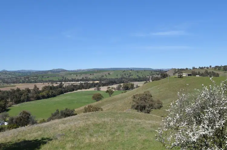 Sixth view of Homely land listing, 14 Stapylton Street, Jugiong NSW 2726
