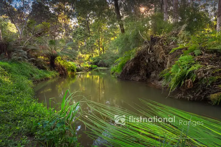 Sixth view of Homely house listing, 345 Macclesfield Road, Monbulk VIC 3793