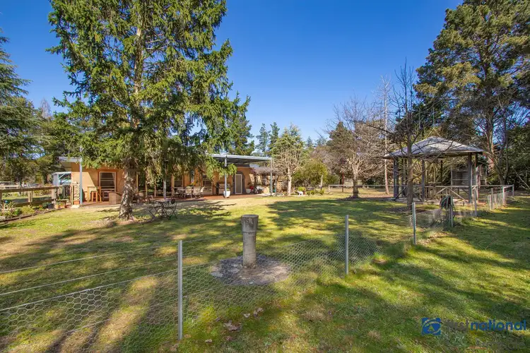 Second view of Homely house listing, 53 Pinegrove Road, Saumarez Ponds NSW 2350