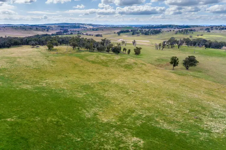 Third view of Homely rural property listing, 'Boomori' Triangle Flat Road, Triangle Flat NSW 2795