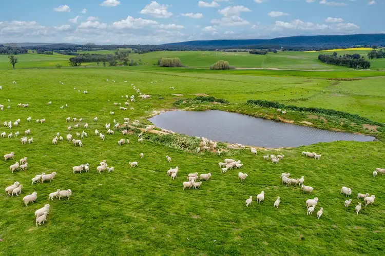2390 Mid Western Highway, Cowra NSW 2794