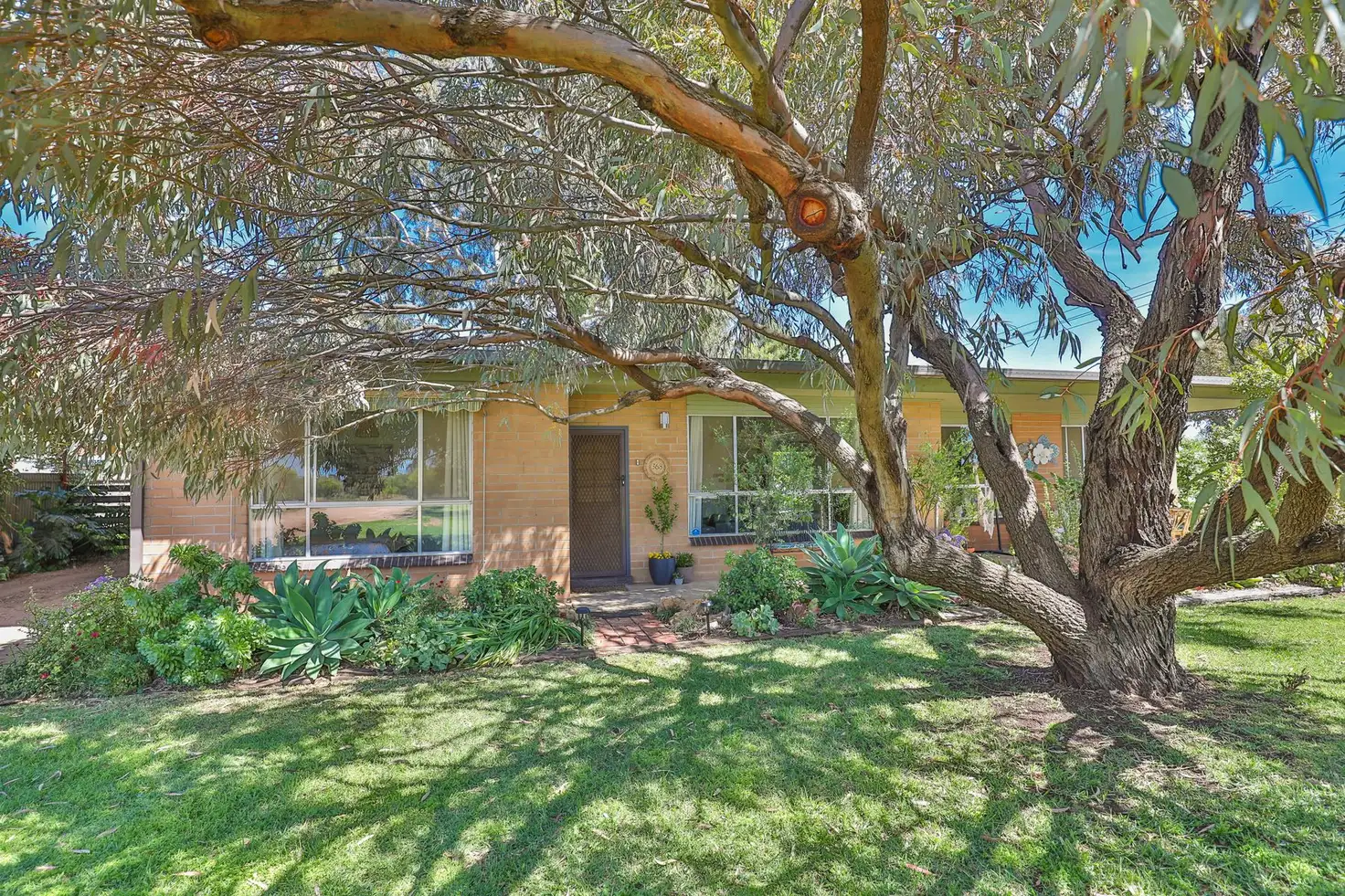 Main view of Homely house listing, 368 Cocklin Avenue, Red Cliffs VIC 3496