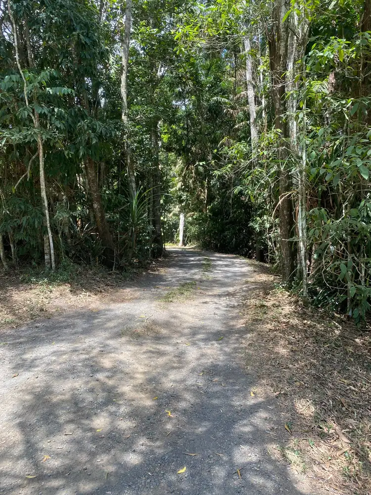 24 Butler Drive, Kuranda QLD 4881