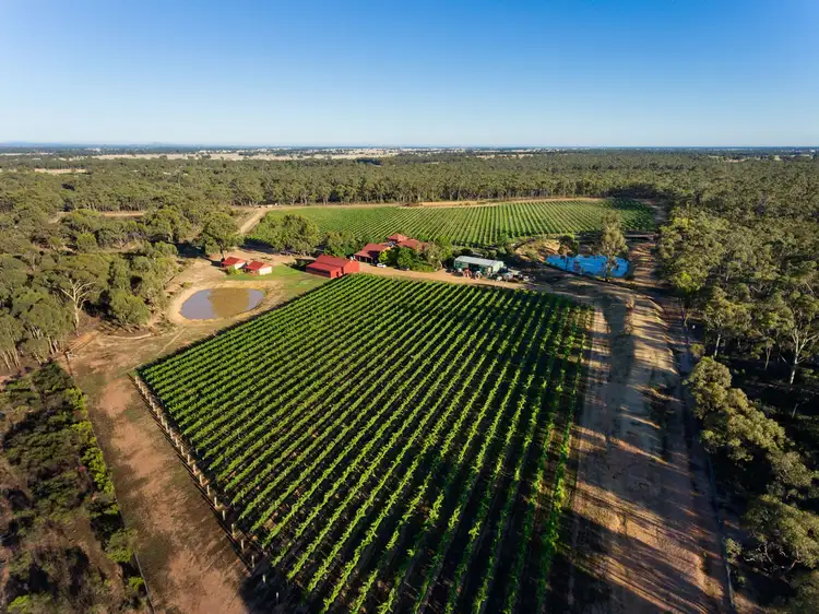 Main view of Homely rural property listing, 156 Forest Drive, Myers Flat VIC 3556