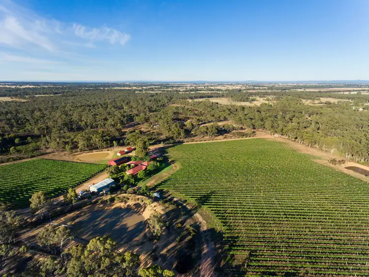Second view of Homely rural property listing, 156 Forest Drive, Myers Flat VIC 3556