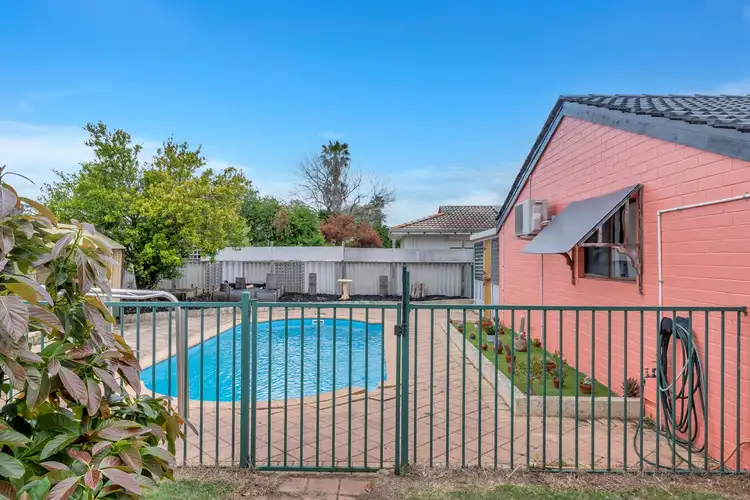 Second view of Homely house listing, 3 Quandong Place, Pinjarra WA 6208