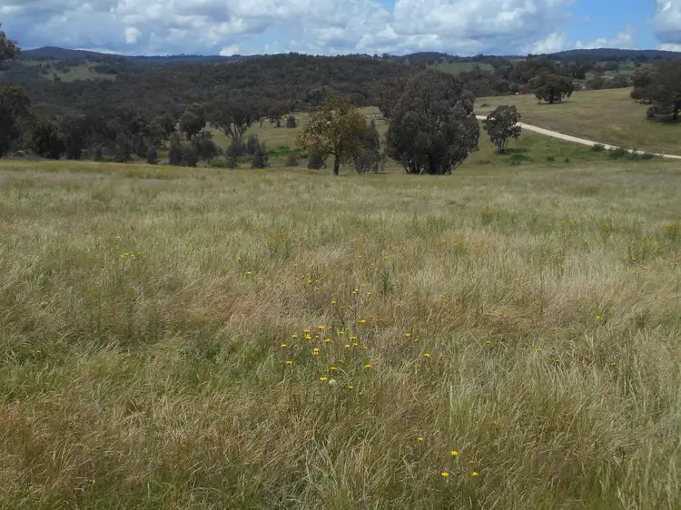 Third view of Homely rural property listing, 268 Horton Drive, Woodstock NSW 2793