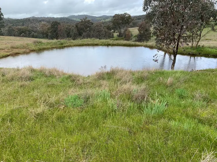 Fourth view of Homely rural property listing, 268 Horton Drive, Woodstock NSW 2793