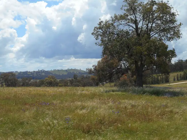 Fifth view of Homely rural property listing, 268 Horton Drive, Woodstock NSW 2793