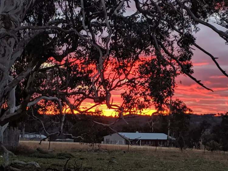 Sixth view of Homely rural property listing, 268 Horton Drive, Woodstock NSW 2793