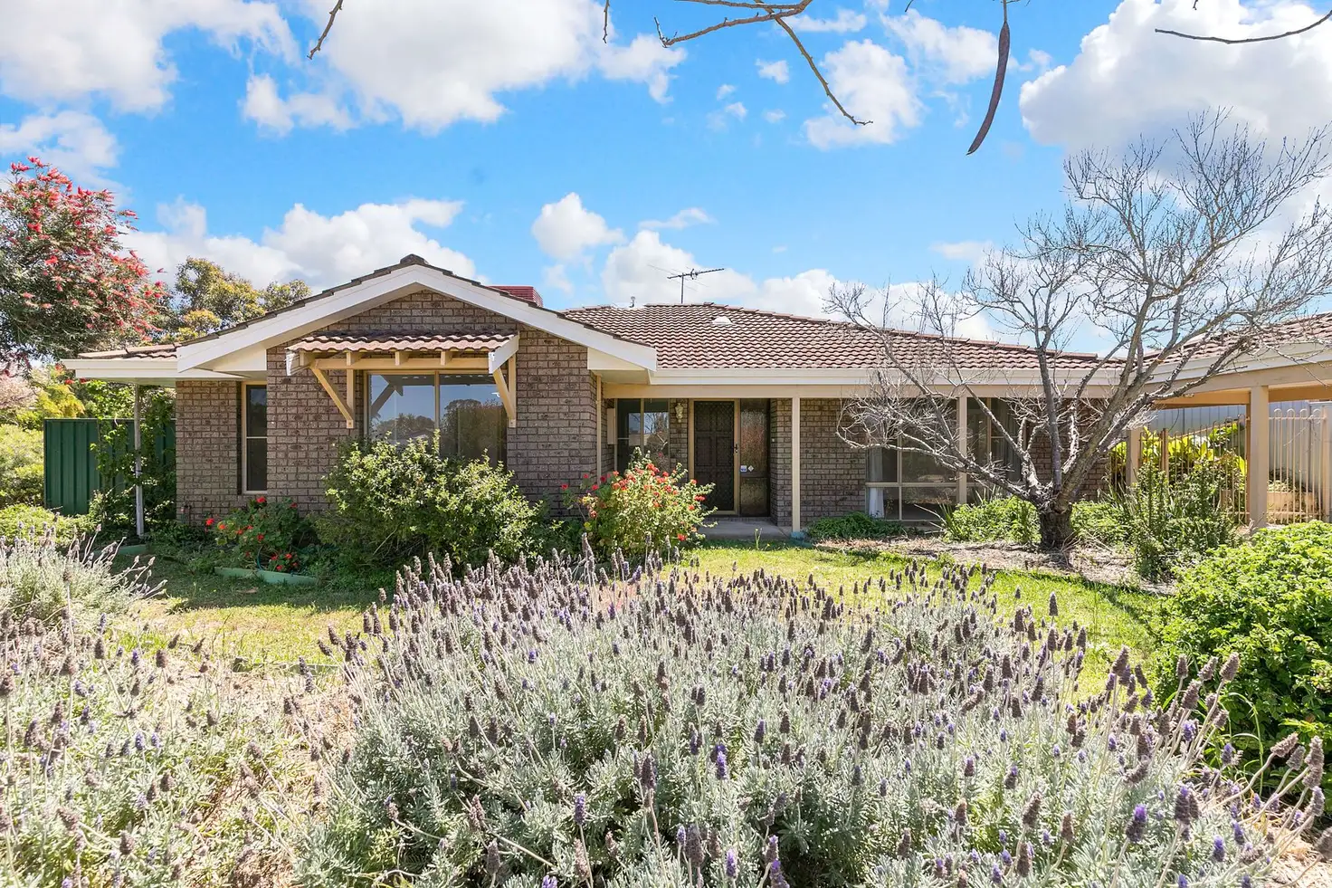Main view of Homely house listing, 7 Benbullen Boulevard, Kingsley WA 6026