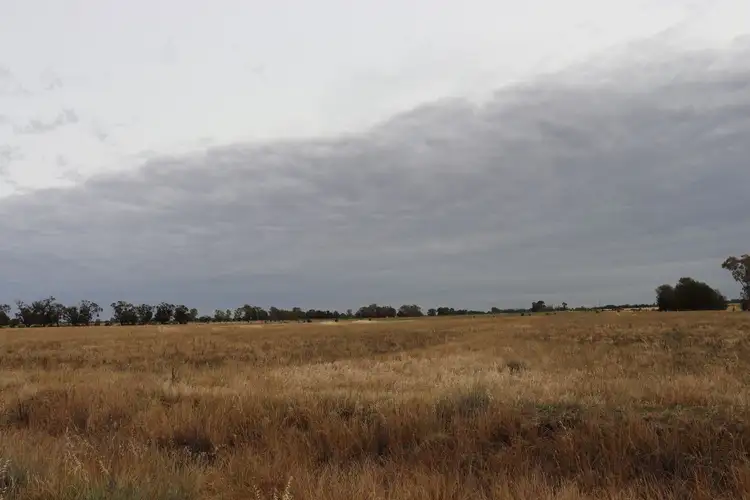 Seventh view of Homely rural property listing, 602 Mead Road, Mead VIC 3568