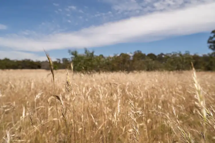 Third view of Homely land listing, CA 96V Farnells road, Woodvale VIC 3556