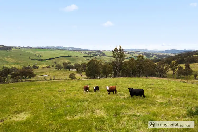 Third view of Homely house listing, 420 Diamond Swamp Road, Meadow Flat NSW 2795