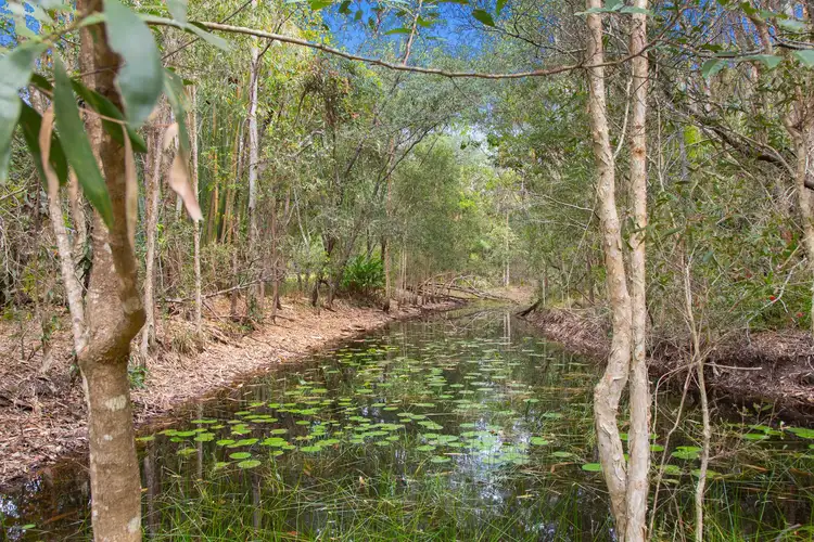 Fifth view of Homely land listing, 1534 Louis Bazzo Drive, Cootharaba QLD 4565