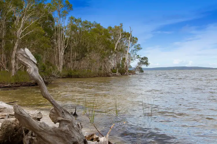 Seventh view of Homely land listing, 1534 Louis Bazzo Drive, Cootharaba QLD 4565