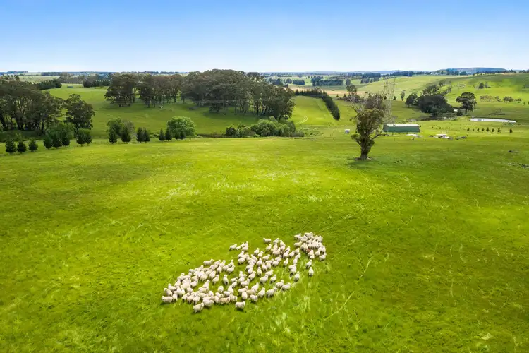 Main view of Homely rural property listing, 373 Sallys Corner Road, Exeter NSW 2579