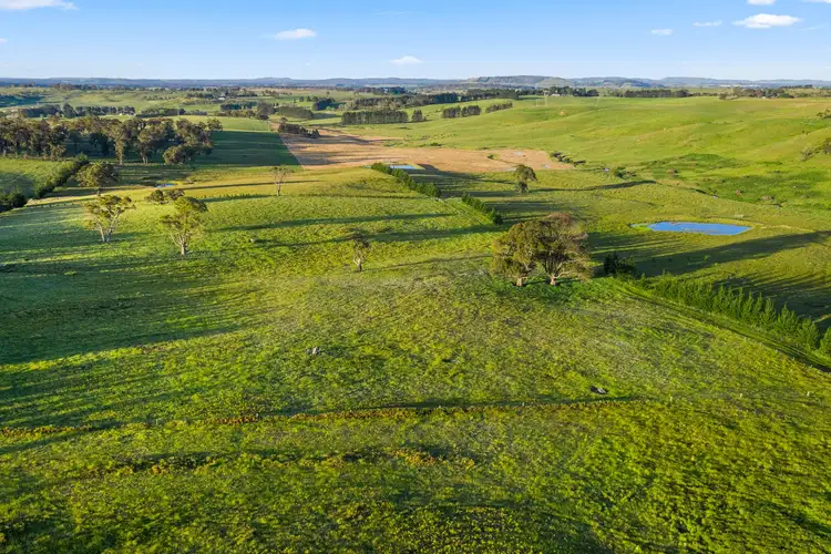 Third view of Homely rural property listing, 373 Sallys Corner Road, Exeter NSW 2579
