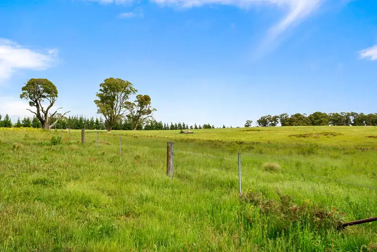 Fifth view of Homely rural property listing, 373 Sallys Corner Road, Exeter NSW 2579