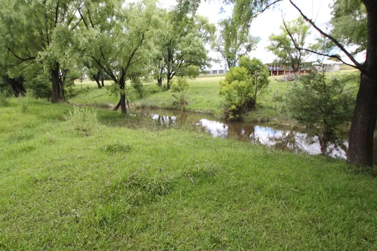 332A Mount Lindesay Road, Tenterfield NSW 2372