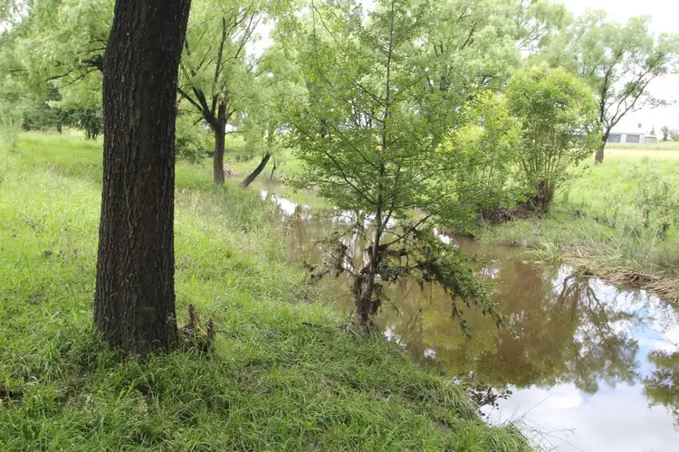 Fourth view of Homely land listing, 332A Mount Lindesay Road, Tenterfield NSW 2372