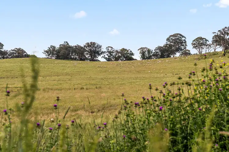 Sixth view of Homely house listing, 3848 Mitchell Highway, Guyong NSW 2798