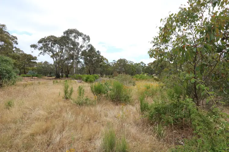 Third view of Homely land listing, 131 Timor Road, Bowenvale VIC 3465