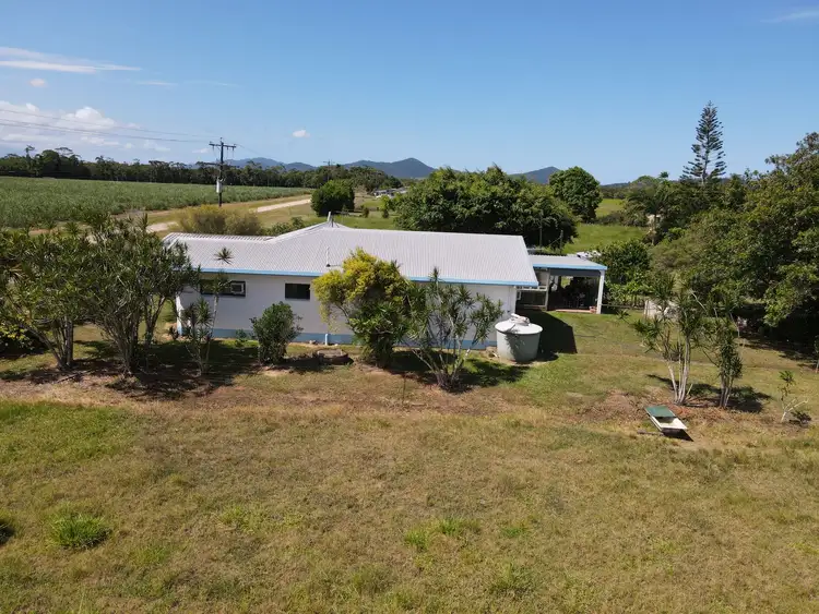 Fifth view of Homely rural property listing, 16 Louis Road, South Innisfail QLD 4860