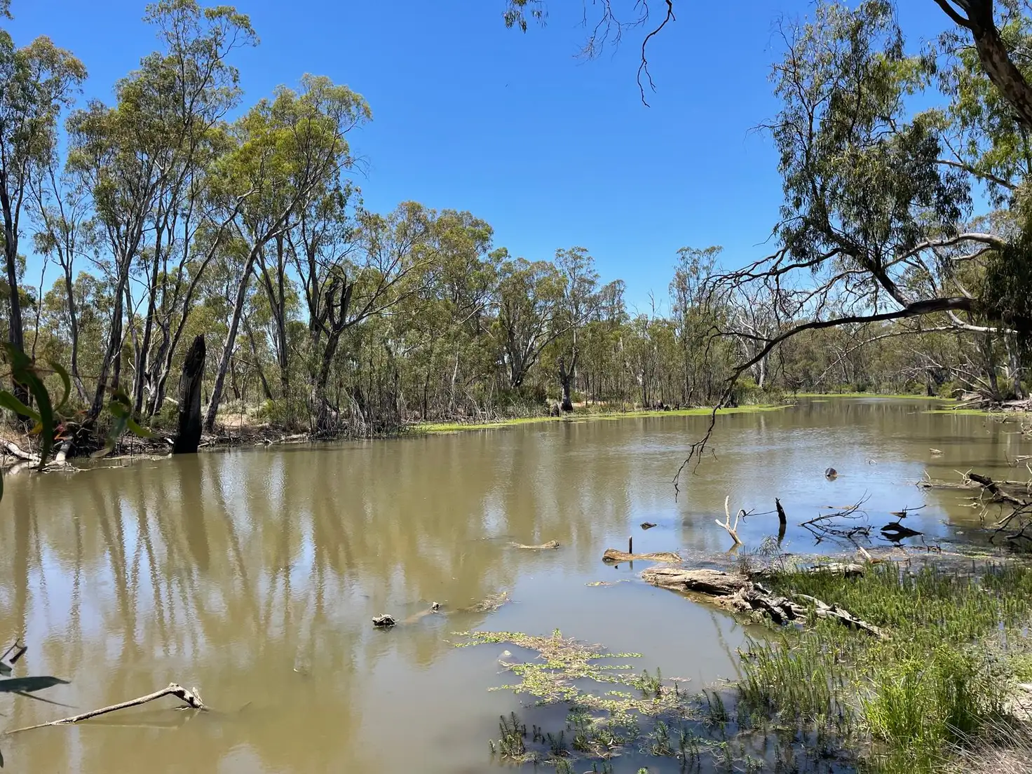Main view of Homely land listing, 0 Tolls Lane, Cohuna VIC 3568