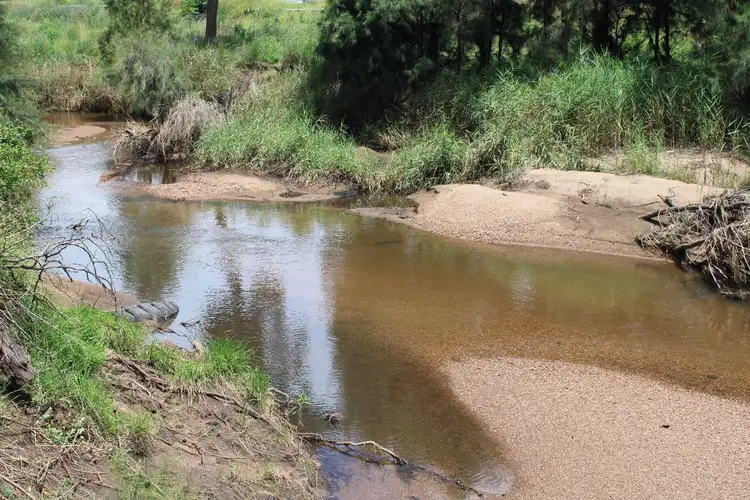 Third view of Homely rural property listing, 1431 Martindale Road, Denman NSW 2328