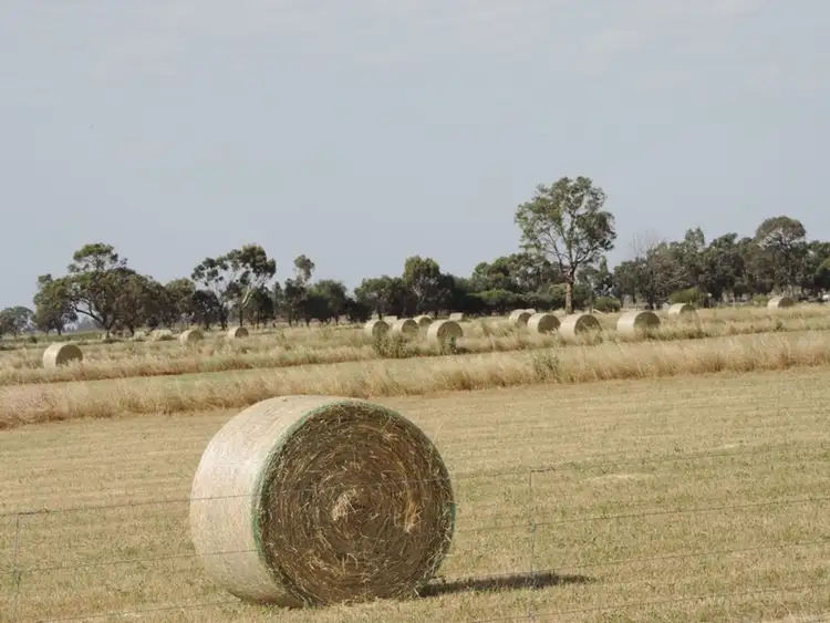 Fourth view of Homely rural property listing, 7681 Murray Valley Highway, Milnes Bridge VIC 3579