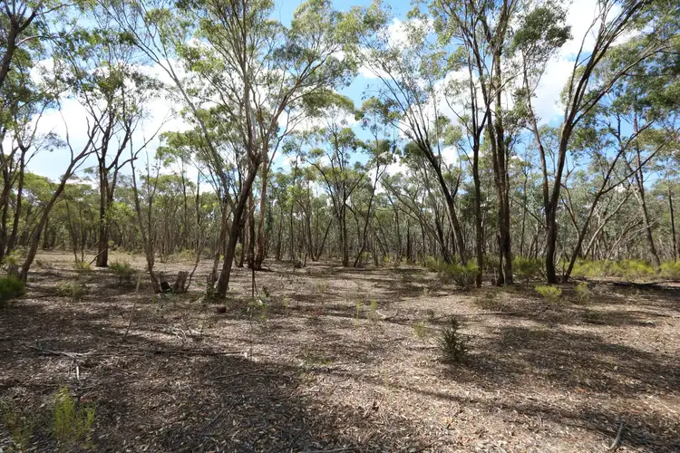 Third view of Homely land listing, 53 Hull Lane, Talbot VIC 3371