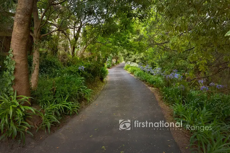 Fifth view of Homely house listing, 31 Colby Drive, Belgrave Heights VIC 3160