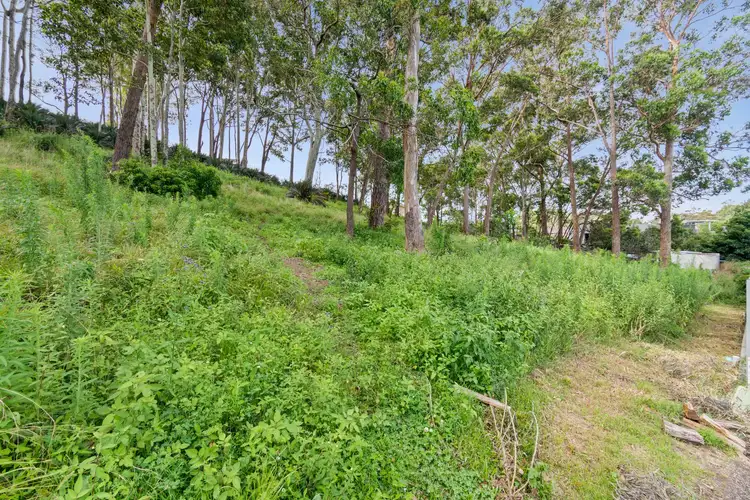 Sixth view of Homely land listing, 81 Sandy Place, Long Beach NSW 2536