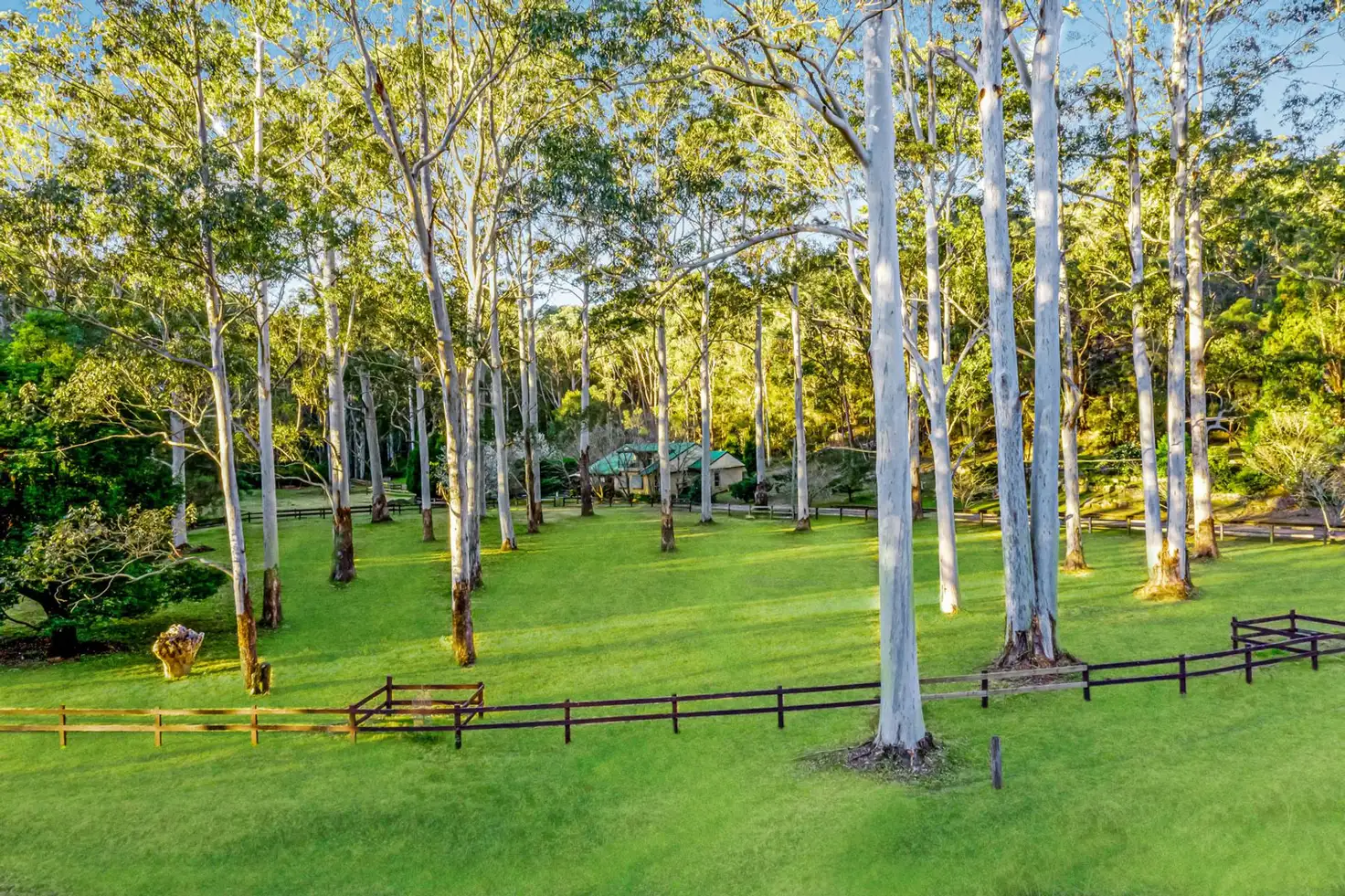 Main view of Homely house listing, 14 Gibber Place, Annangrove NSW 2156