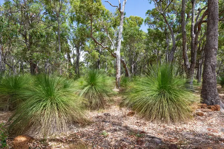Second view of Homely house listing, 23 Zamia Grove, Yallingup WA 6282