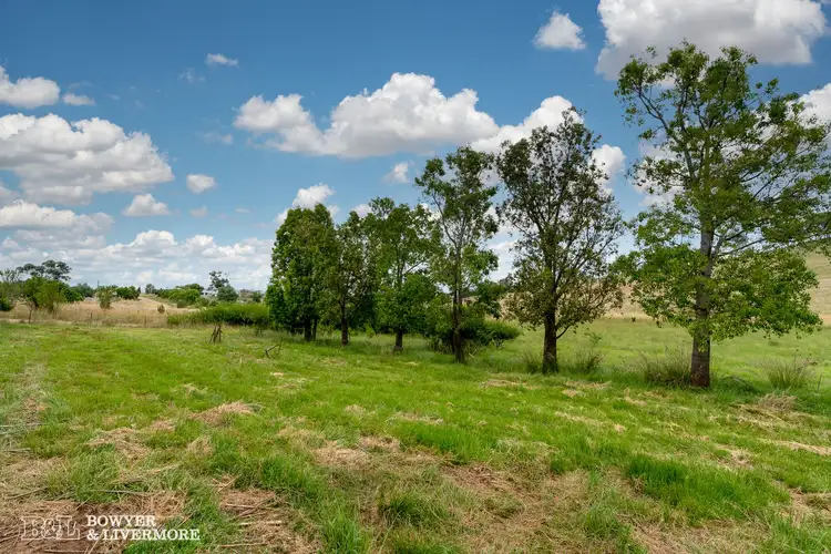 Sixth view of Homely rural property listing, Lot 300 Dresser Lane, Woodstock NSW 2793