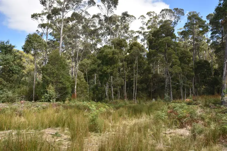 447 Weetah Road, Weetah TAS 7304