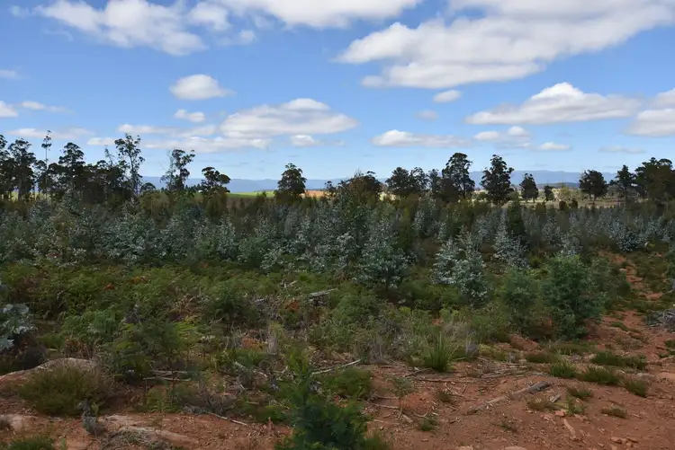 Seventh view of Homely rural property listing, 447 Weetah Road, Weetah TAS 7304