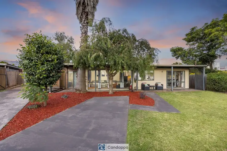 Main view of Homely house listing, 11 Kraft Crescent, Drouin VIC 3818