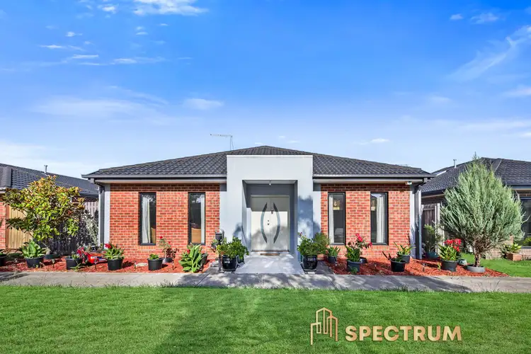 16 Saffron Avenue, Officer VIC 3809