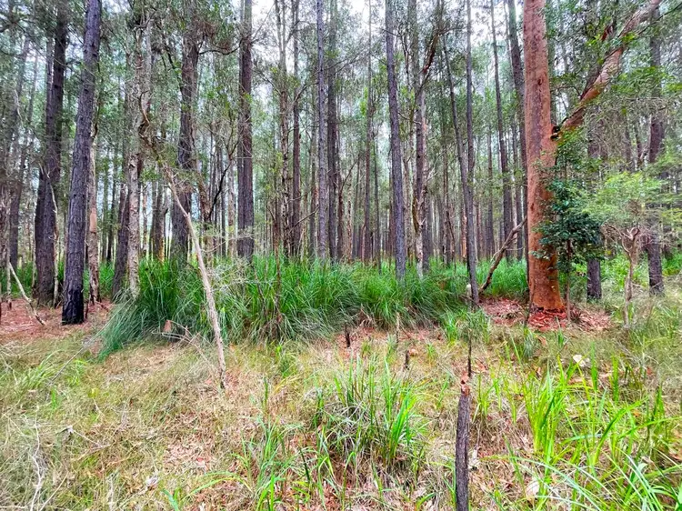 Third view of Homely land listing, Lot 1, Sec U Nardoo Street, Pindimar NSW 2324