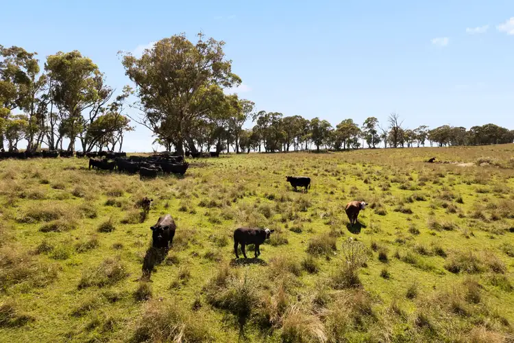 Fourth view of Homely rural property listing, 'Fletchers' Sodwalls Road, Rydal NSW 2790